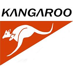 Kangaroo Очиститель стекол ароматизированный Fine glass 500 мл 320119